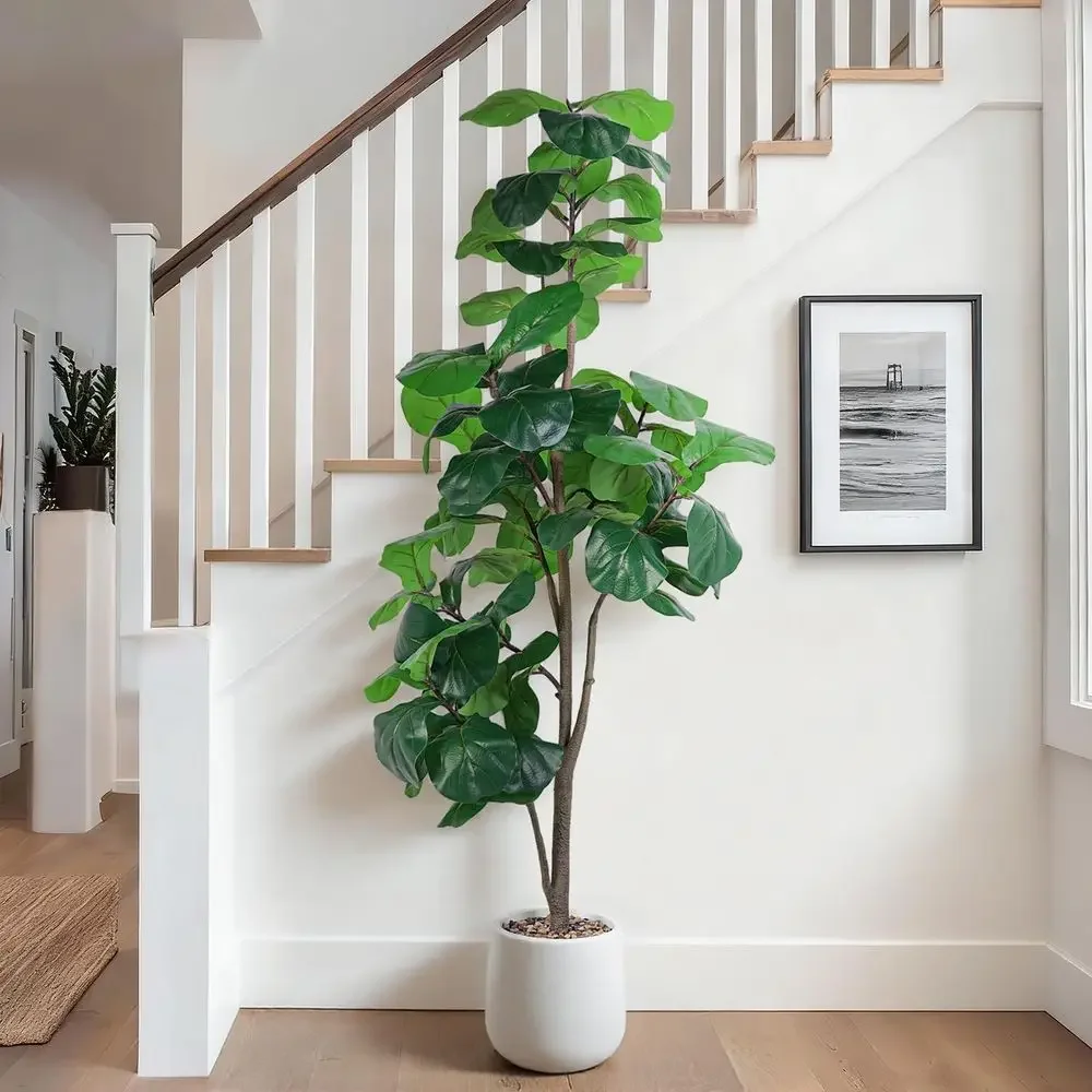 Ficus Lyrata Tree - Artificial Large Ficus Lyrata in White