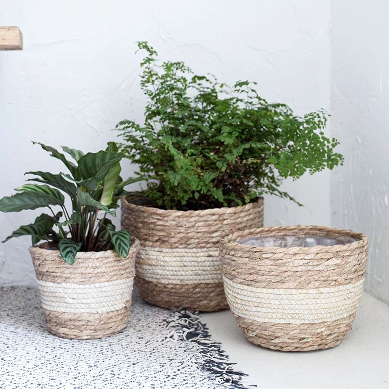 Seagrass Planter Basket Flower - Aloe Vera Pot avis et prix