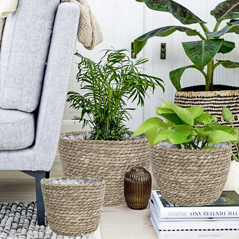 Seagrass Planter Basket Flower - Aloe Vera Pot avis et prix