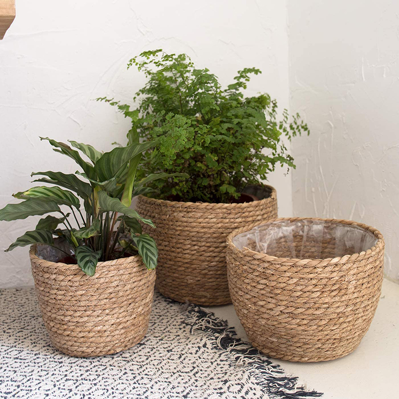 Seagrass Planter Basket Flower - Aloe Vera Pot avis et prix