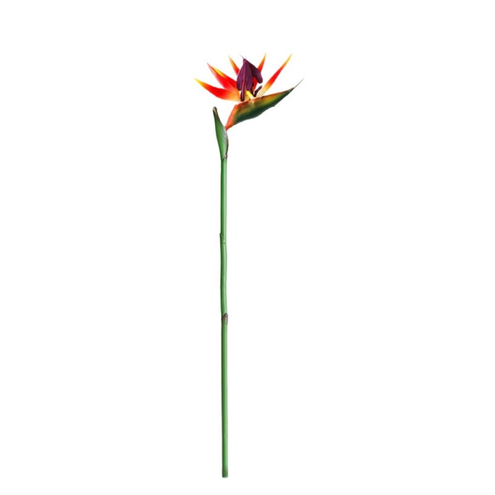 New Long Stem Artificial Bird  - Bird Paradise Strelitzia avis et prix