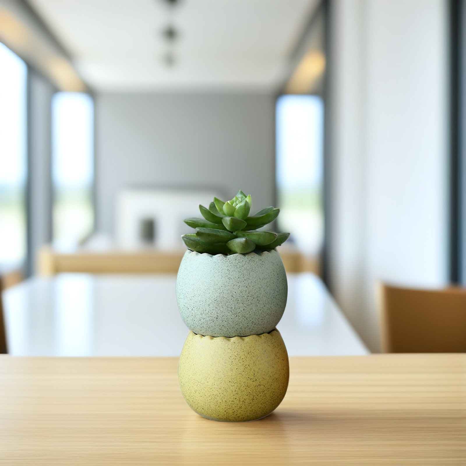 6Pcs Stylish Ceramic Mini Pots - Aloe Vera Pot avis et prix