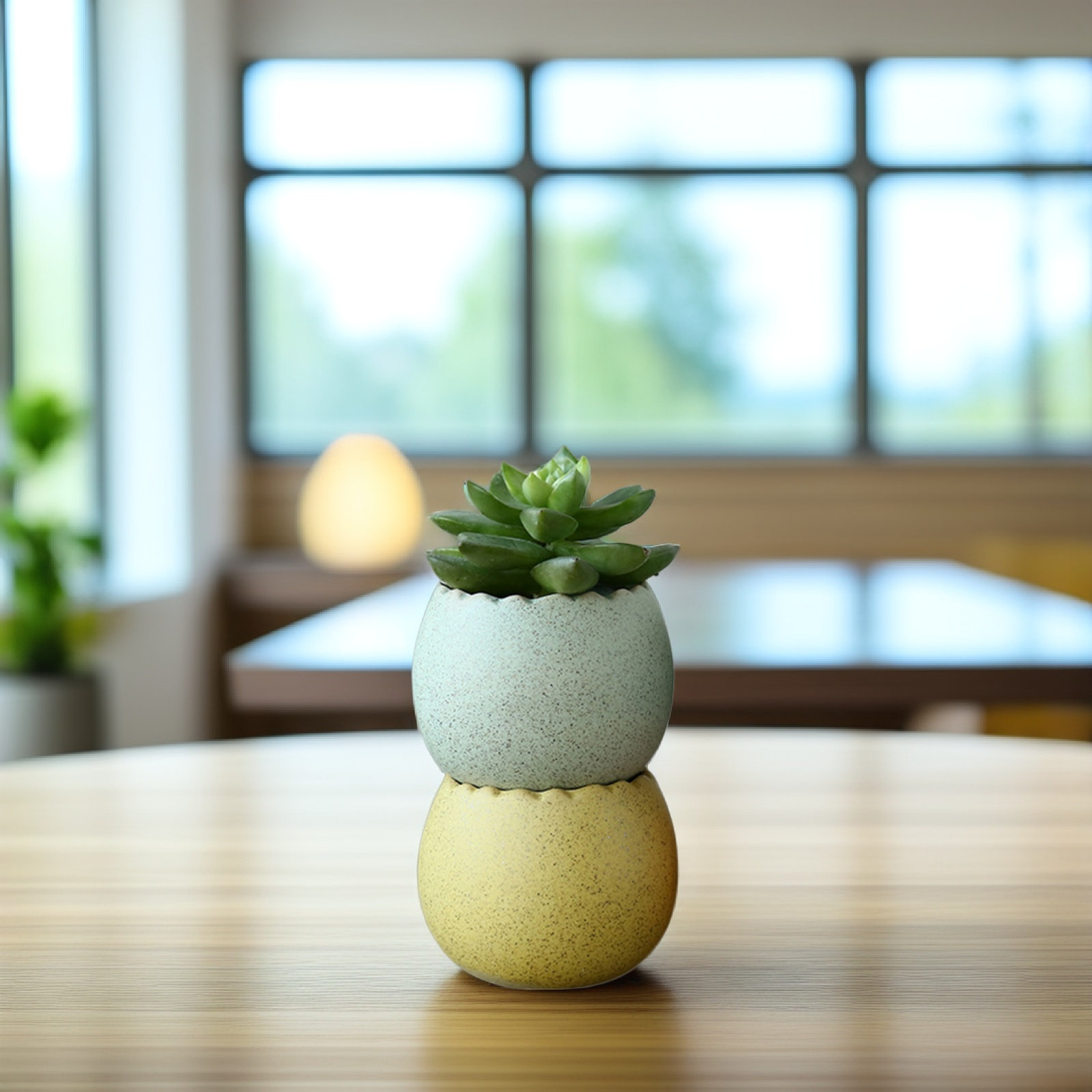 6Pcs Stylish Ceramic Mini Pots - Aloe Vera Pot avis et prix