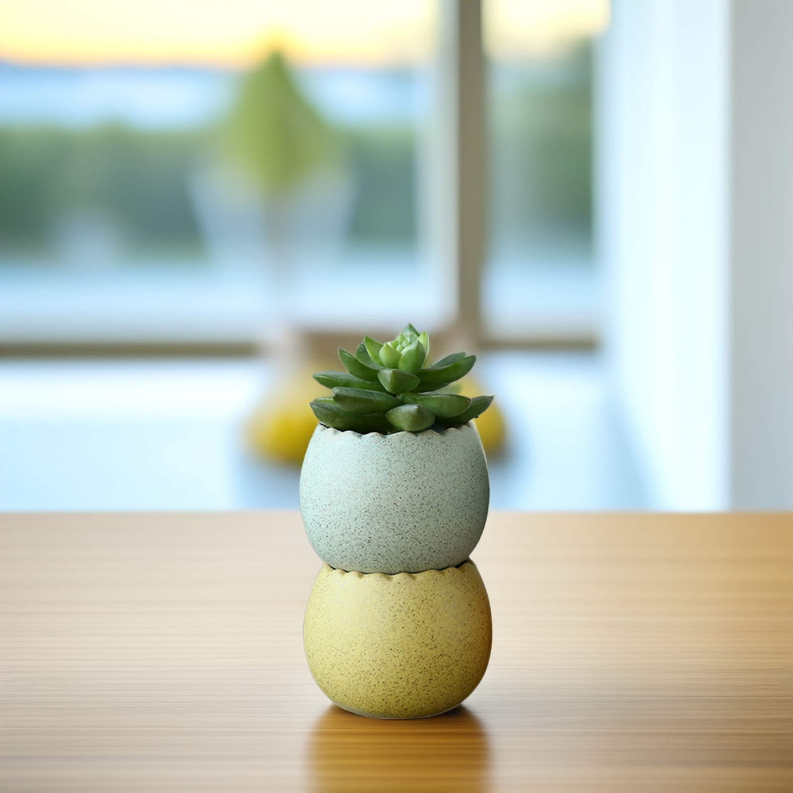 6Pcs Stylish Ceramic Mini Pots - Aloe Vera Pot avis et prix