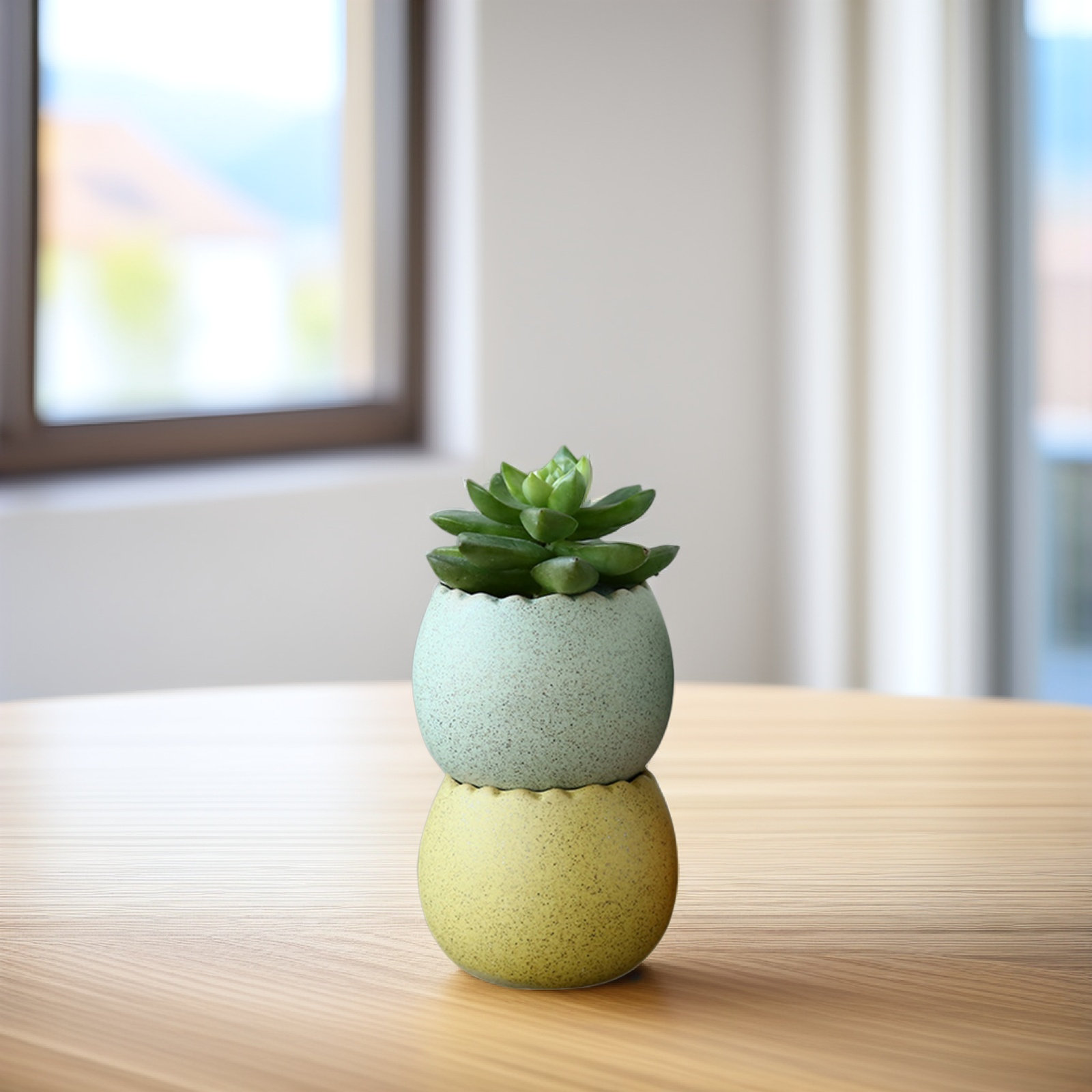 6Pcs Stylish Ceramic Mini Pots - Aloe Vera Pot avis et prix