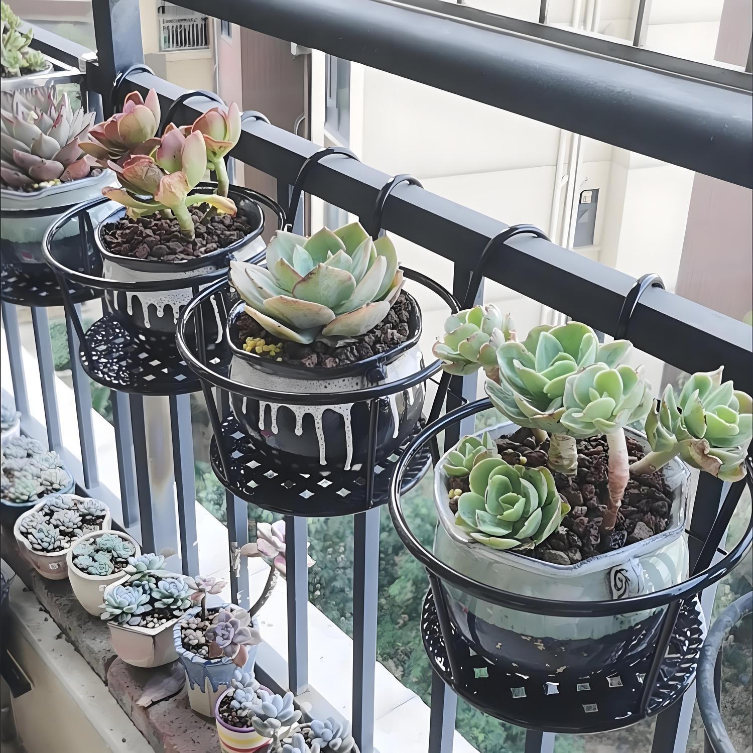 Wrought Iron Balcony Hanging F - Spider Plant Hanging avis et prix