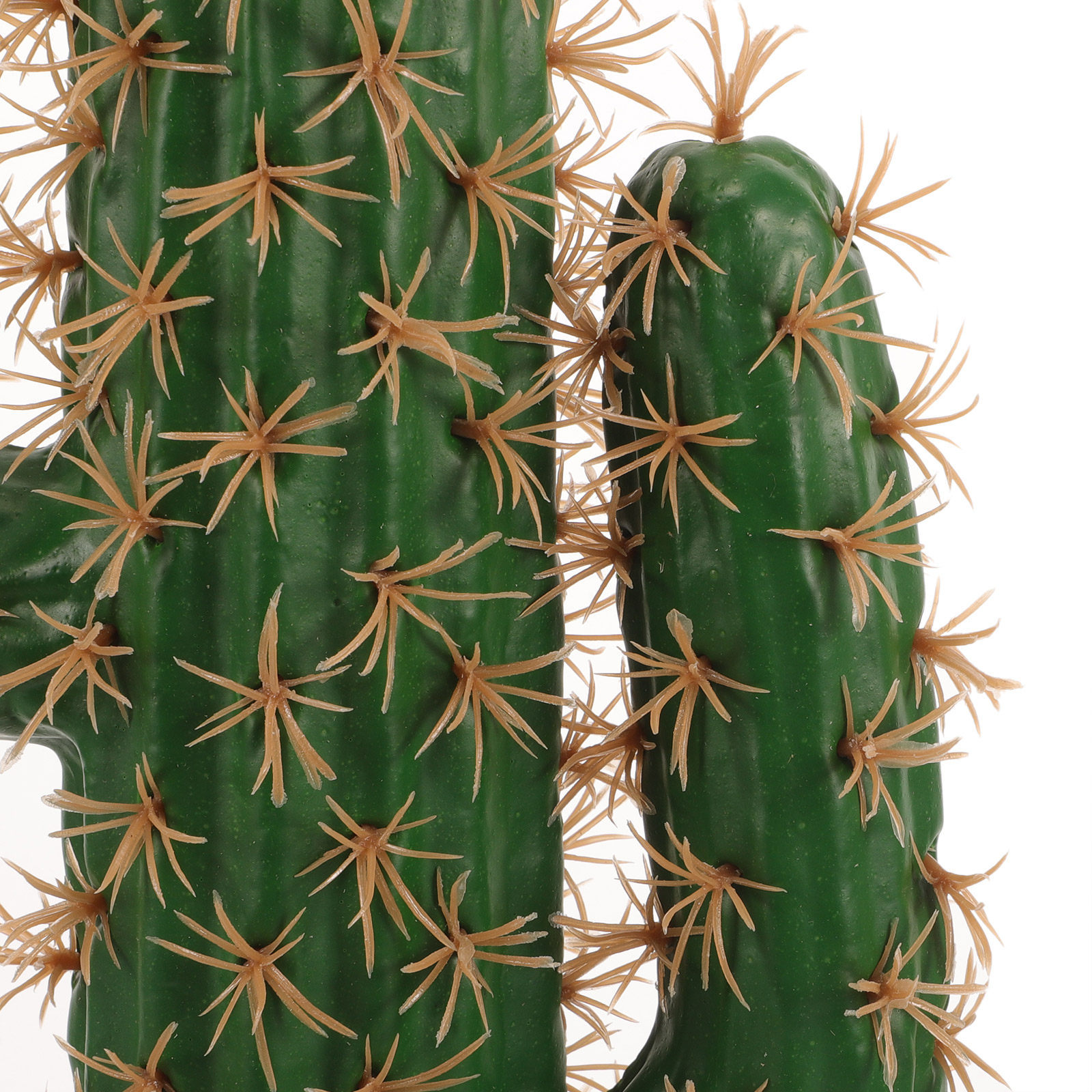 Lifelike Artificial Cactus Pla - Echeveria Succulent avis et prix