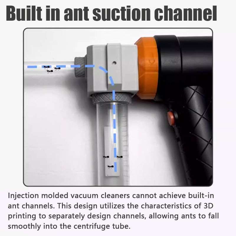 Ant Farm Collection Tool Ants  - Begonia Rex avis et prix