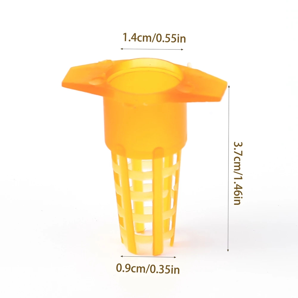 50 Pcs King Cells Plastic Bee  - Begonia Rex avis et prix