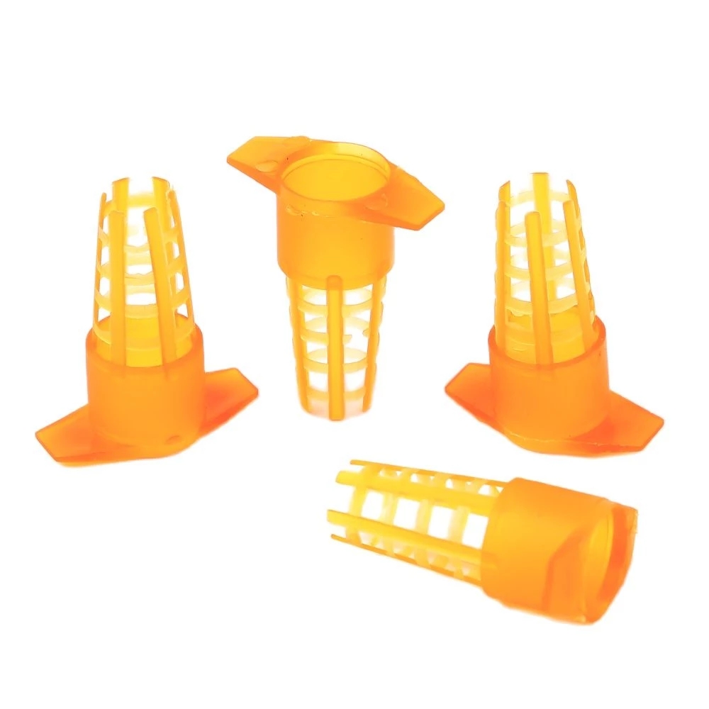 50 Pcs King Cells Plastic Bee  - Begonia Rex avis et prix