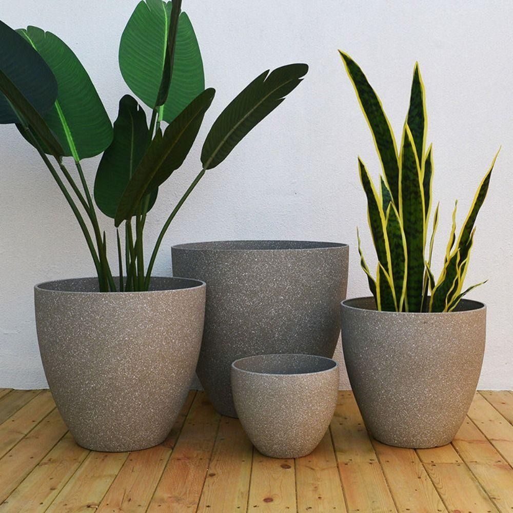 Frosted Imitation Stone Bonsai - Aloe Vera Pot avis et prix