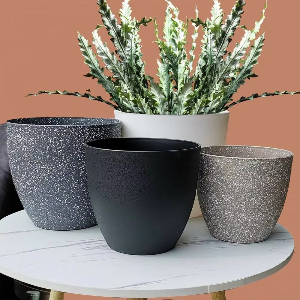 Frosted Imitation Stone Bonsai - Aloe Vera Pot avis et prix