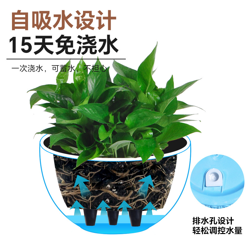 New simple imitation rattan wo - Spider Plant Hanging avis et prix