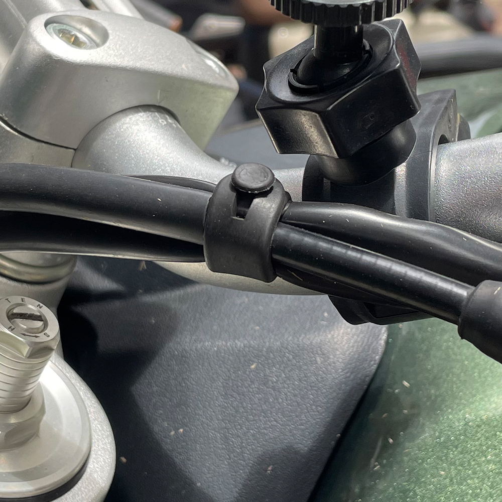 For Ducati Monster Multistrada - Monstera Adansonii avis et prix