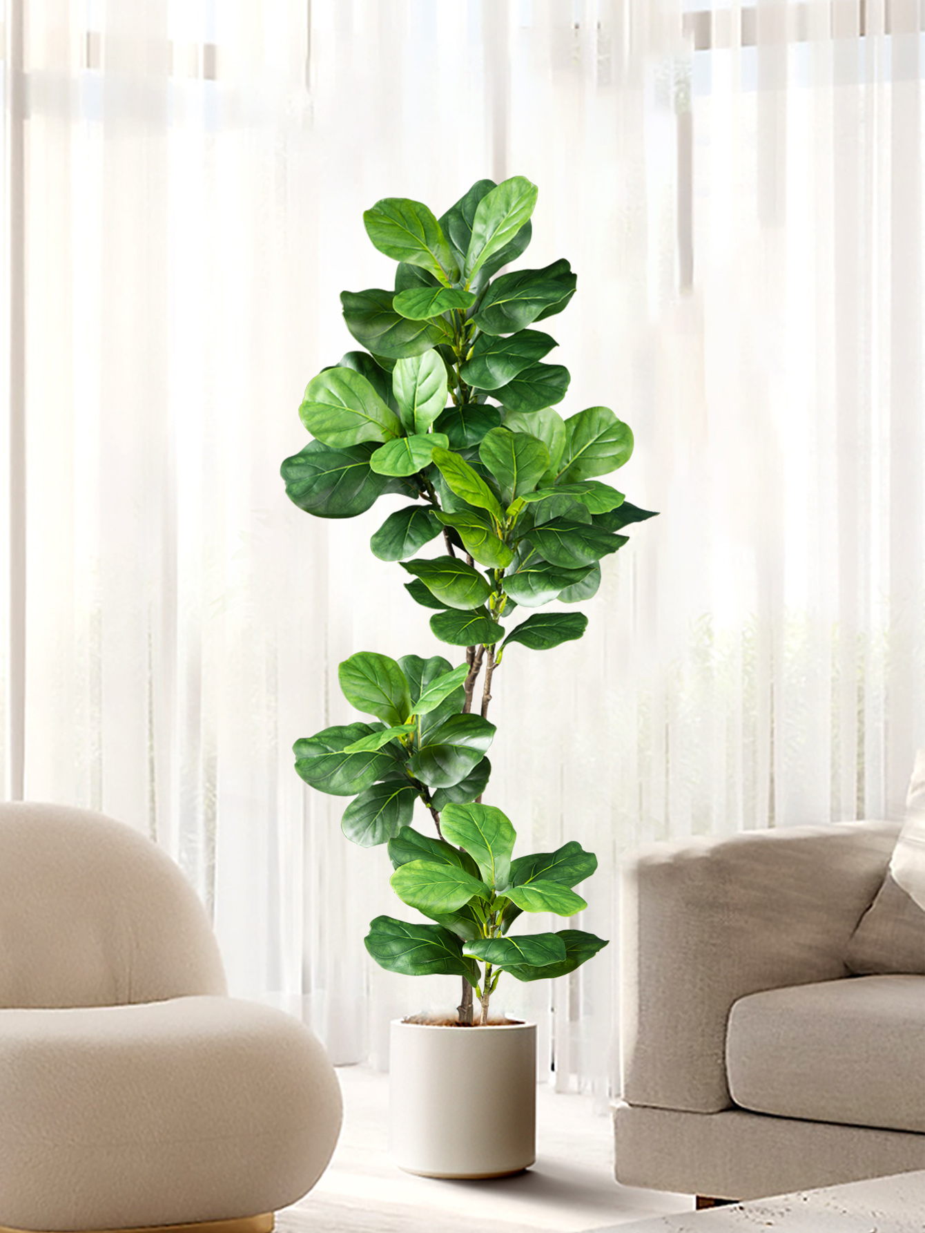 70-135cm Large Artificial Ficu - Dracaena Marginata avis et prix