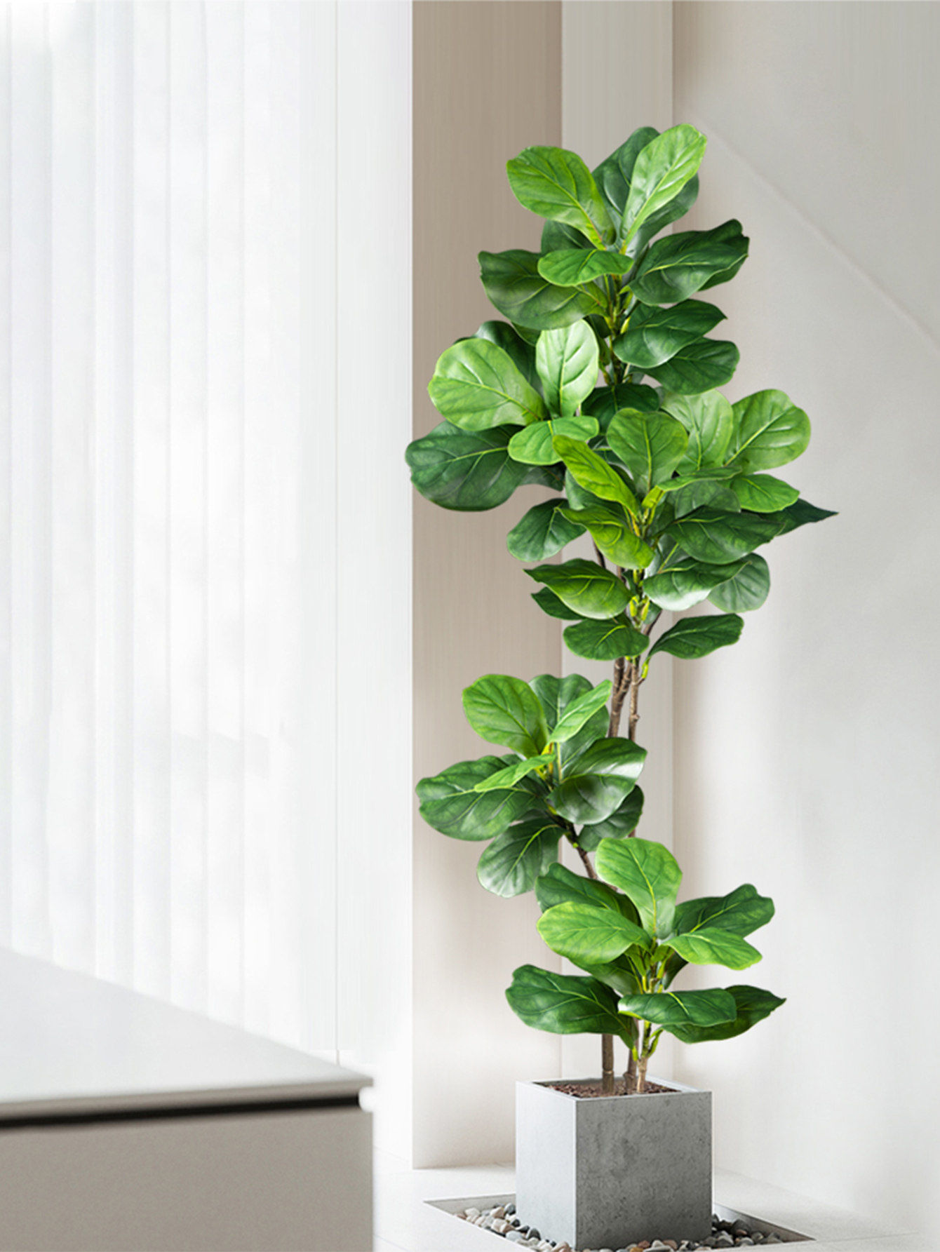 70-135cm Large Artificial Ficu - Dracaena Marginata avis et prix
