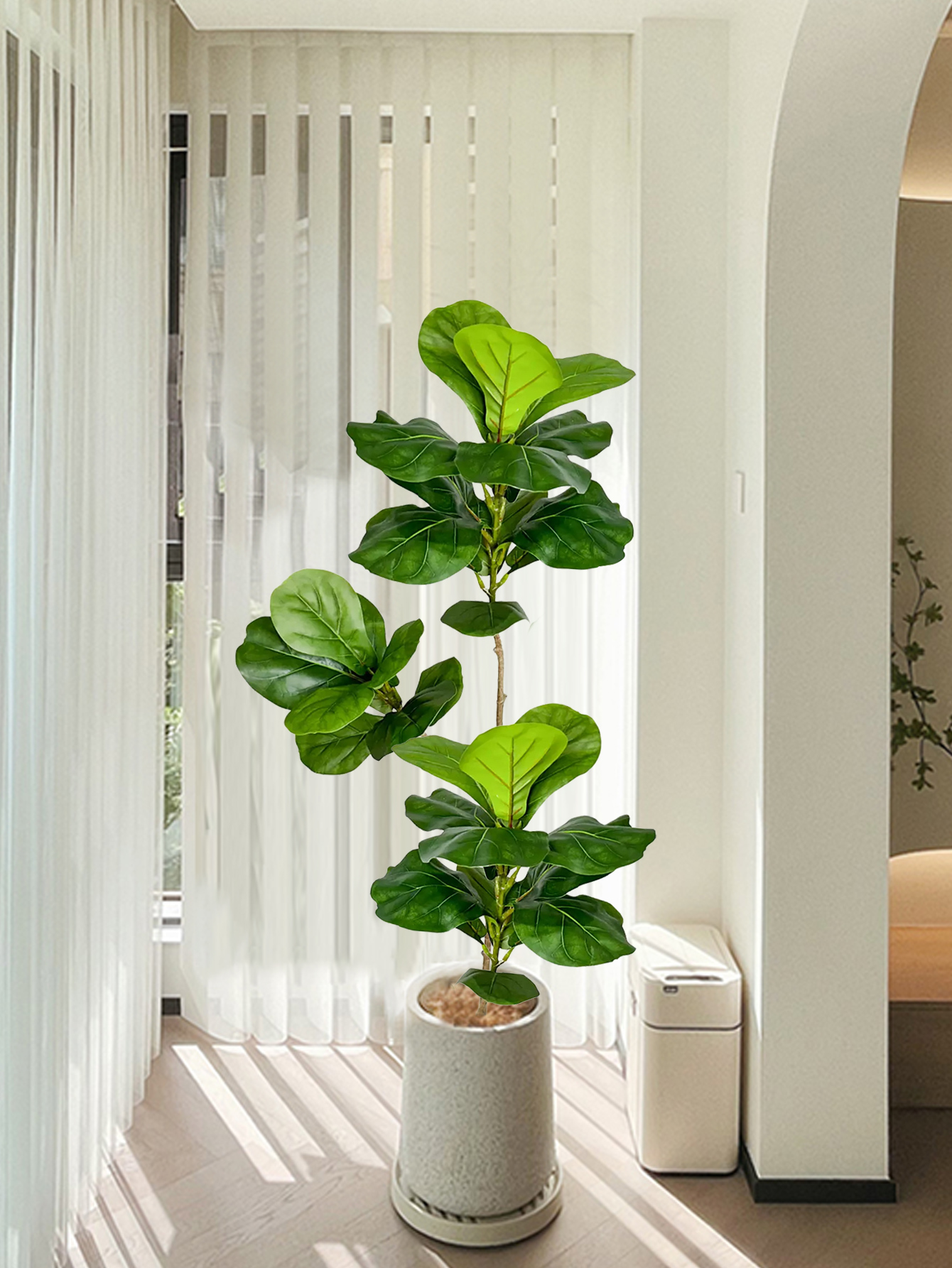 70-135cm Large Artificial Ficu - Dracaena Marginata avis et prix
