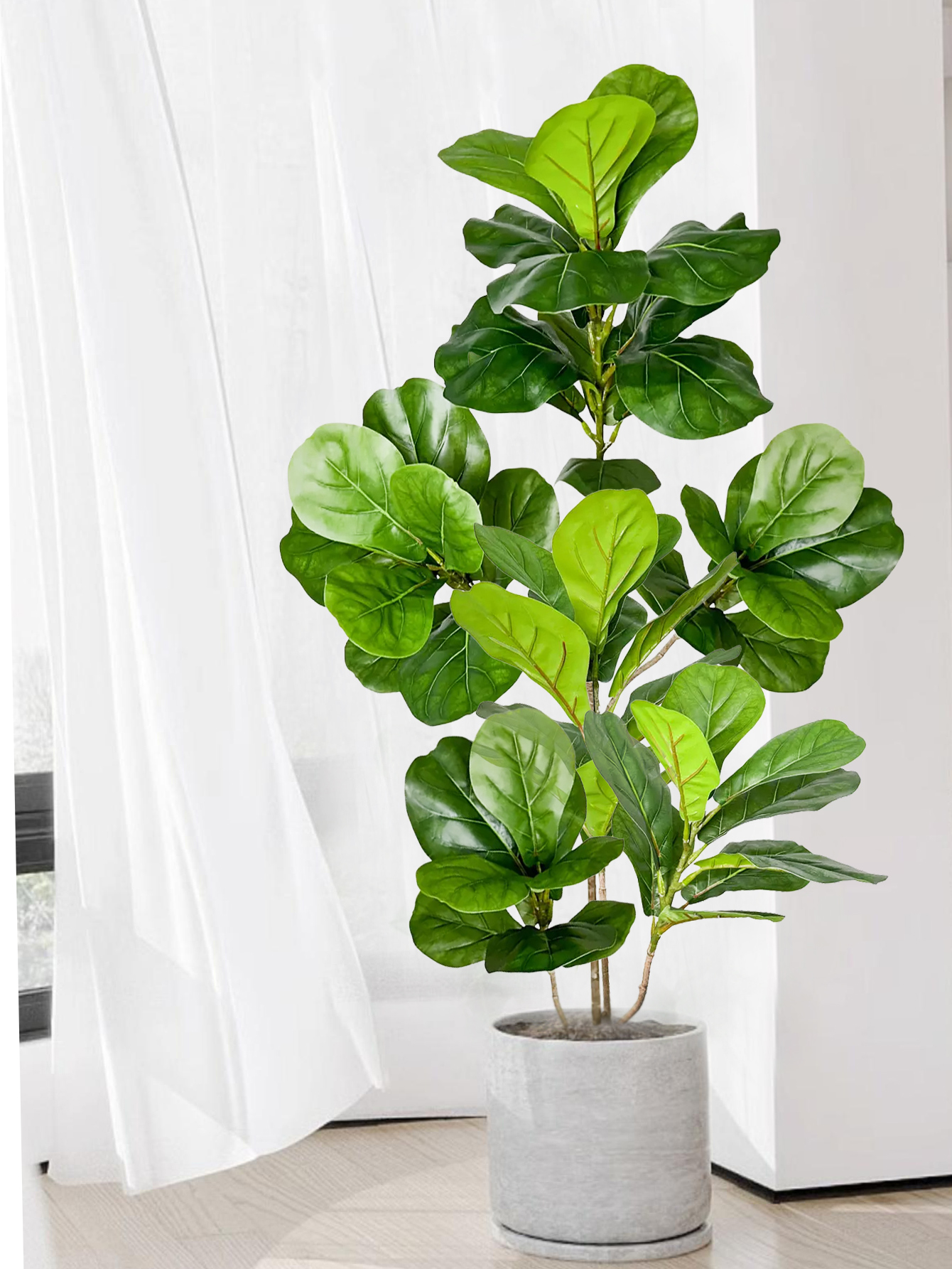 70-135cm Large Artificial Ficu - Dracaena Marginata avis et prix