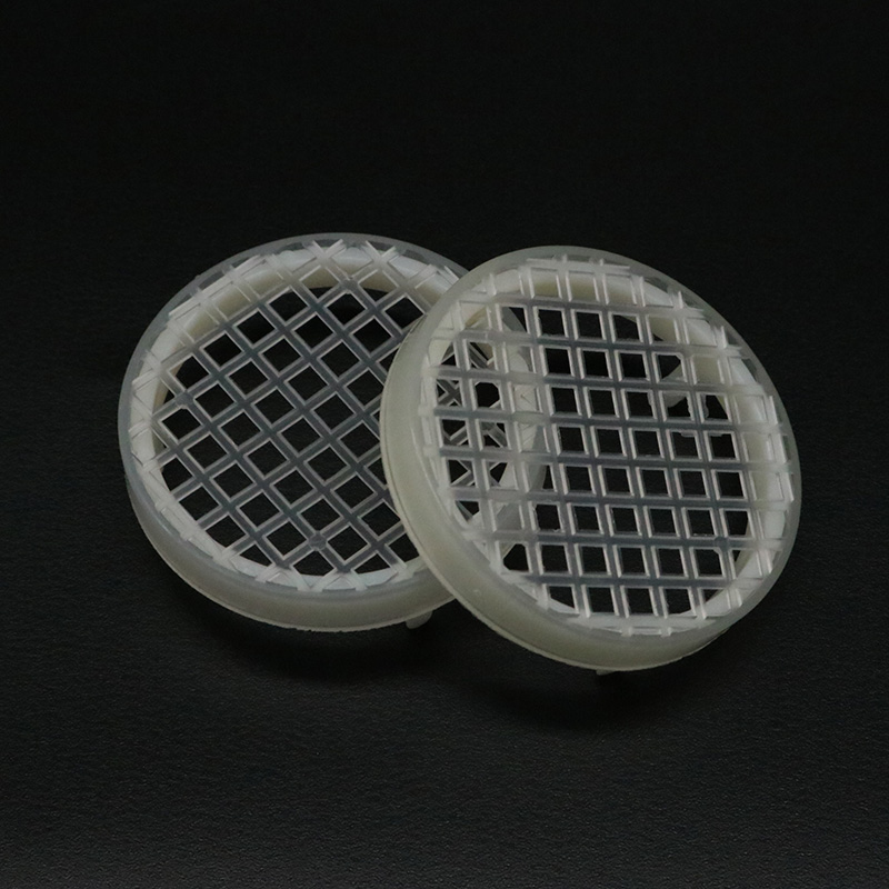 5PCS Bee Farm Round Queen Rear - Begonia Rex avis et prix