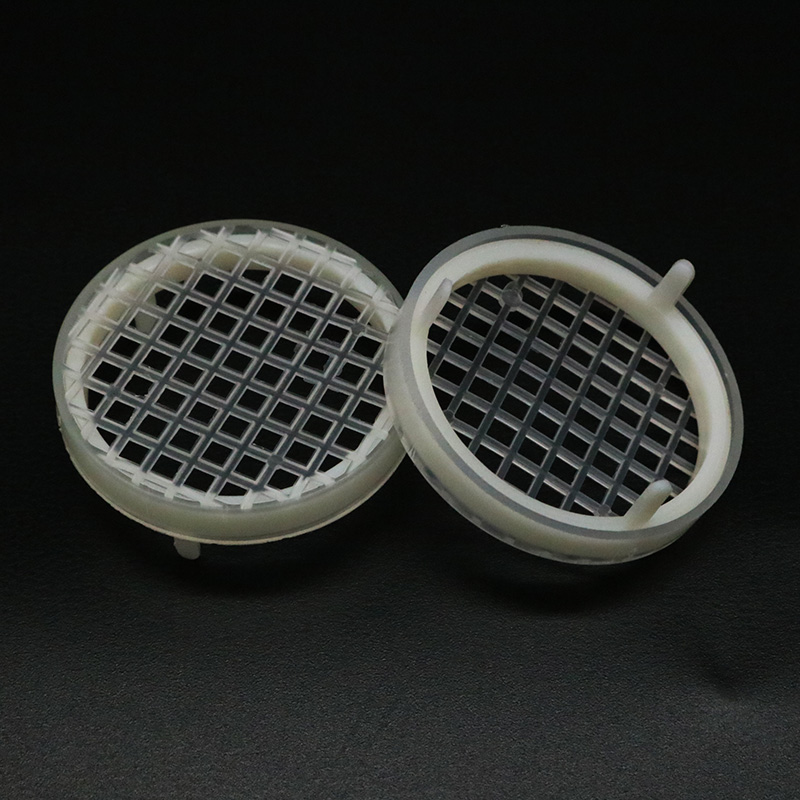 5PCS Bee Farm Round Queen Rear - Begonia Rex avis et prix