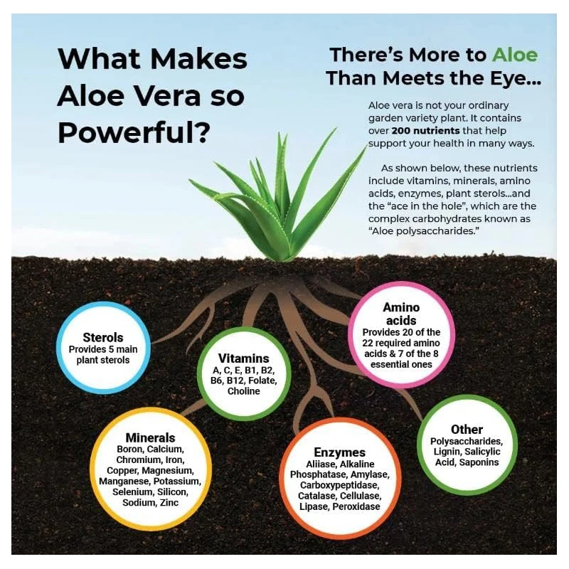 Aloe Vera Capsules - Help Prom - Aloe Vera Pot avis et prix