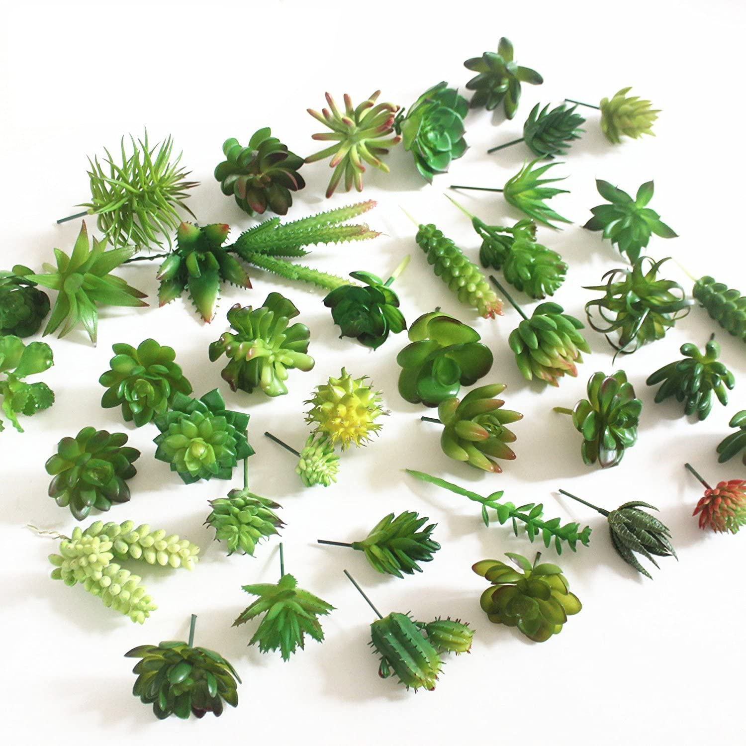 15pcs Artificial Succulent Pla - Echeveria Succulent avis et prix