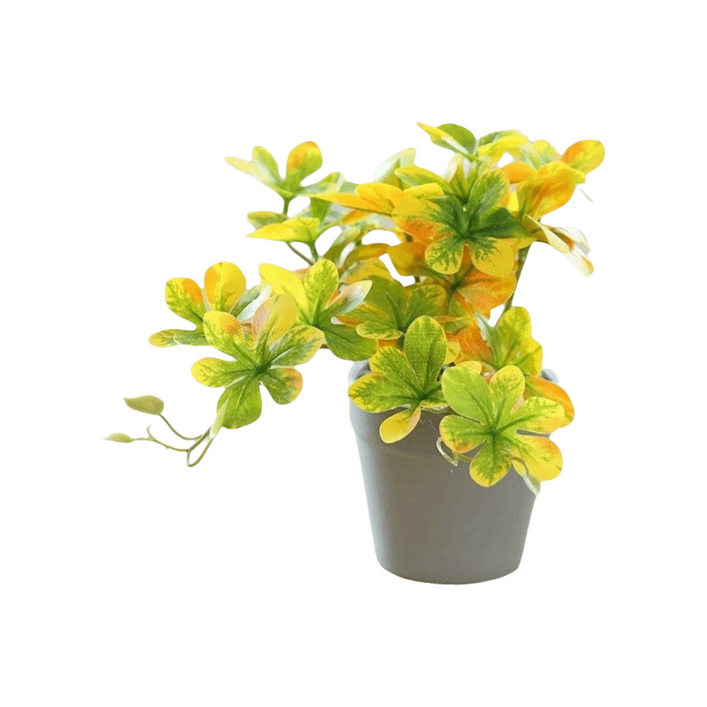 Bonsai Artificial Bonsai Plant - Spider Plant Hanging avis et prix