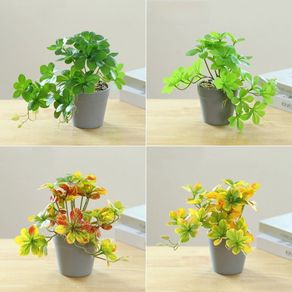 Bonsai Artificial Bonsai Plant - Spider Plant Hanging avis et prix