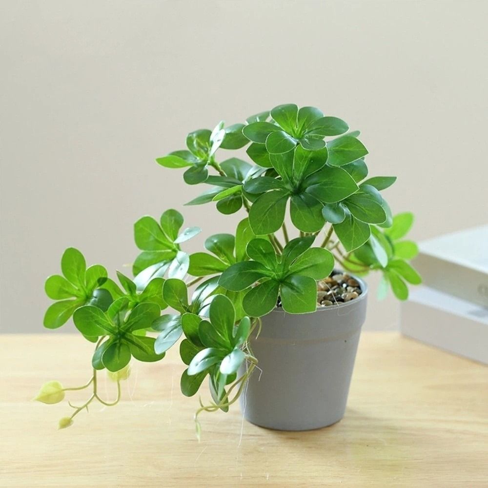 Bonsai Artificial Bonsai Plant - Spider Plant Hanging avis et prix