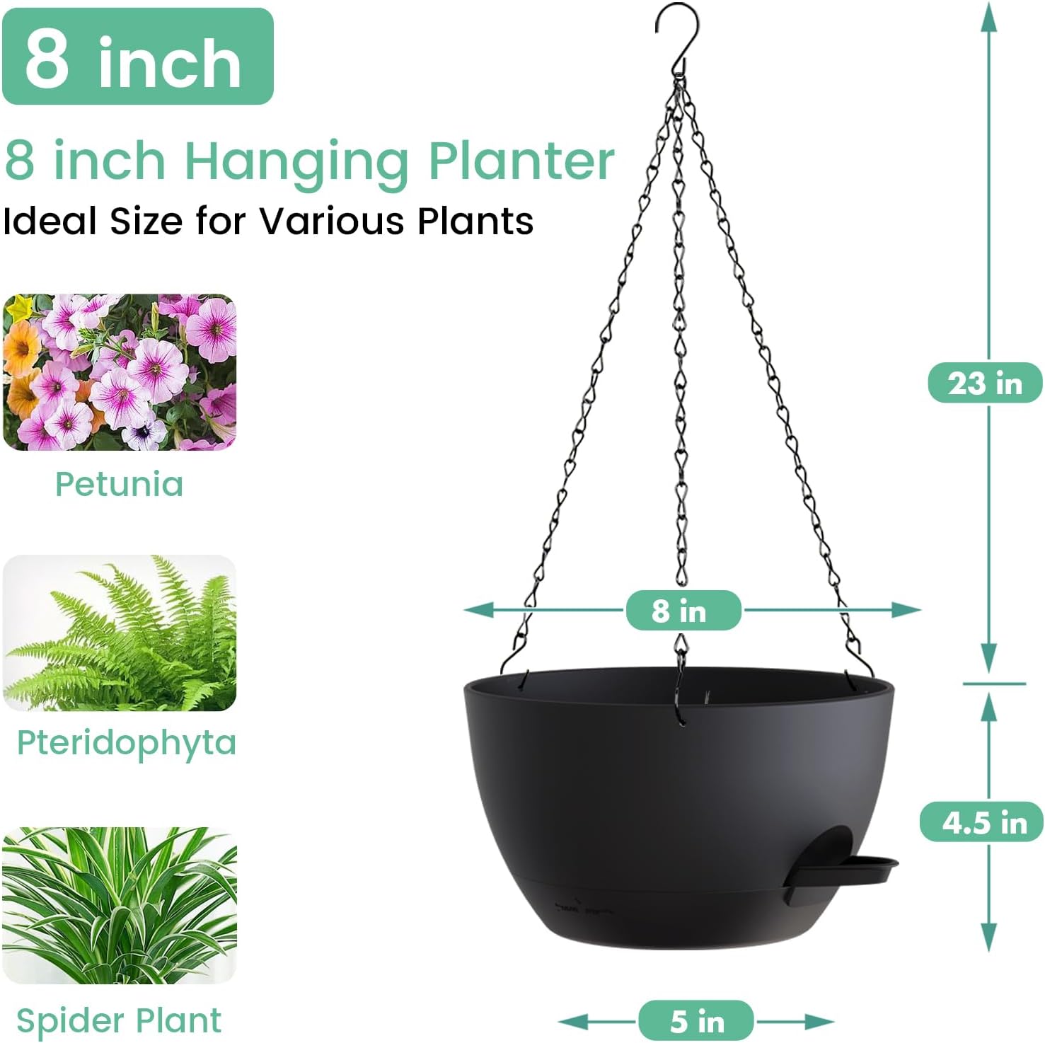 8 Inch Self Watering Hanging P - Spider Plant Hanging avis et prix