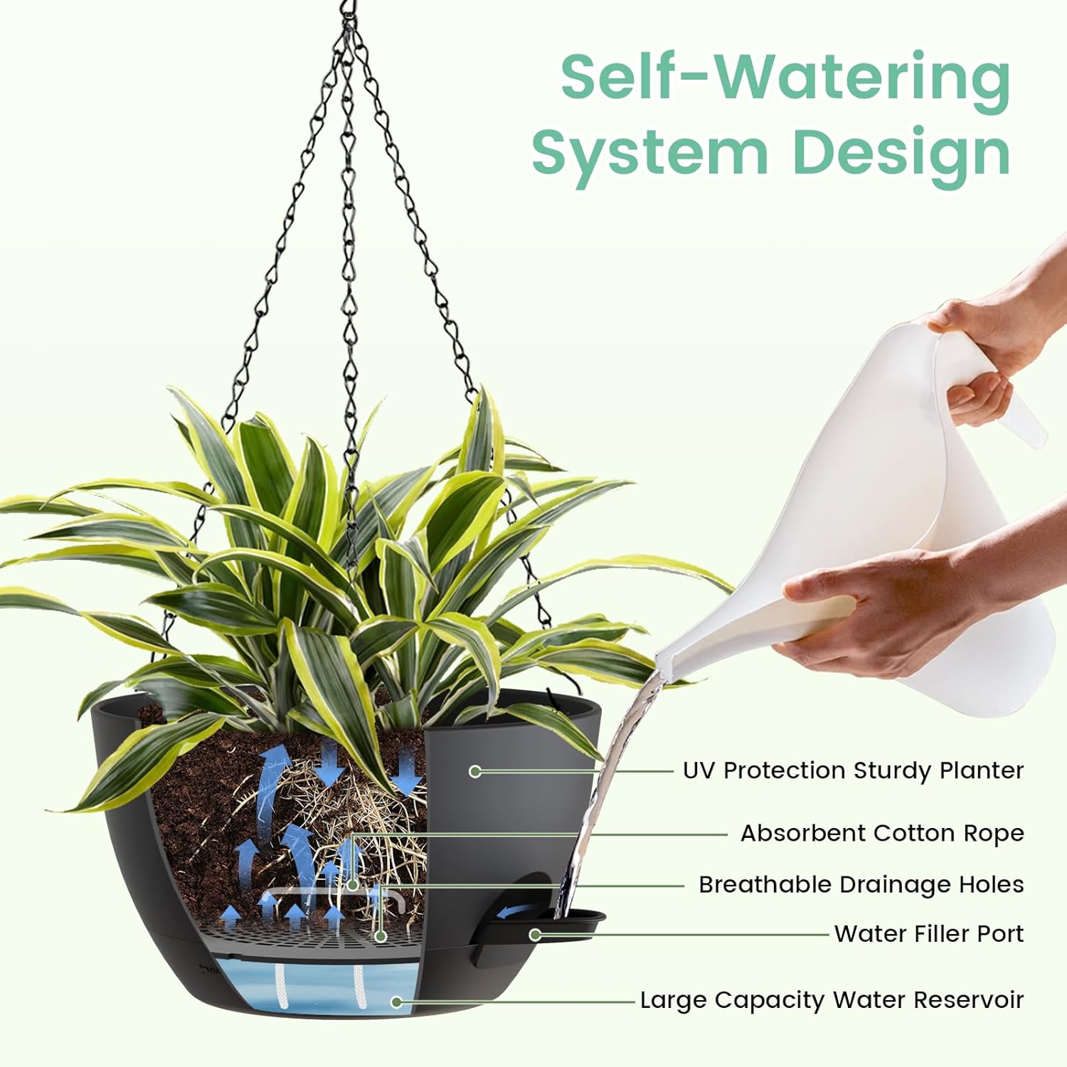 8 Inch Self Watering Hanging P - Spider Plant Hanging avis et prix