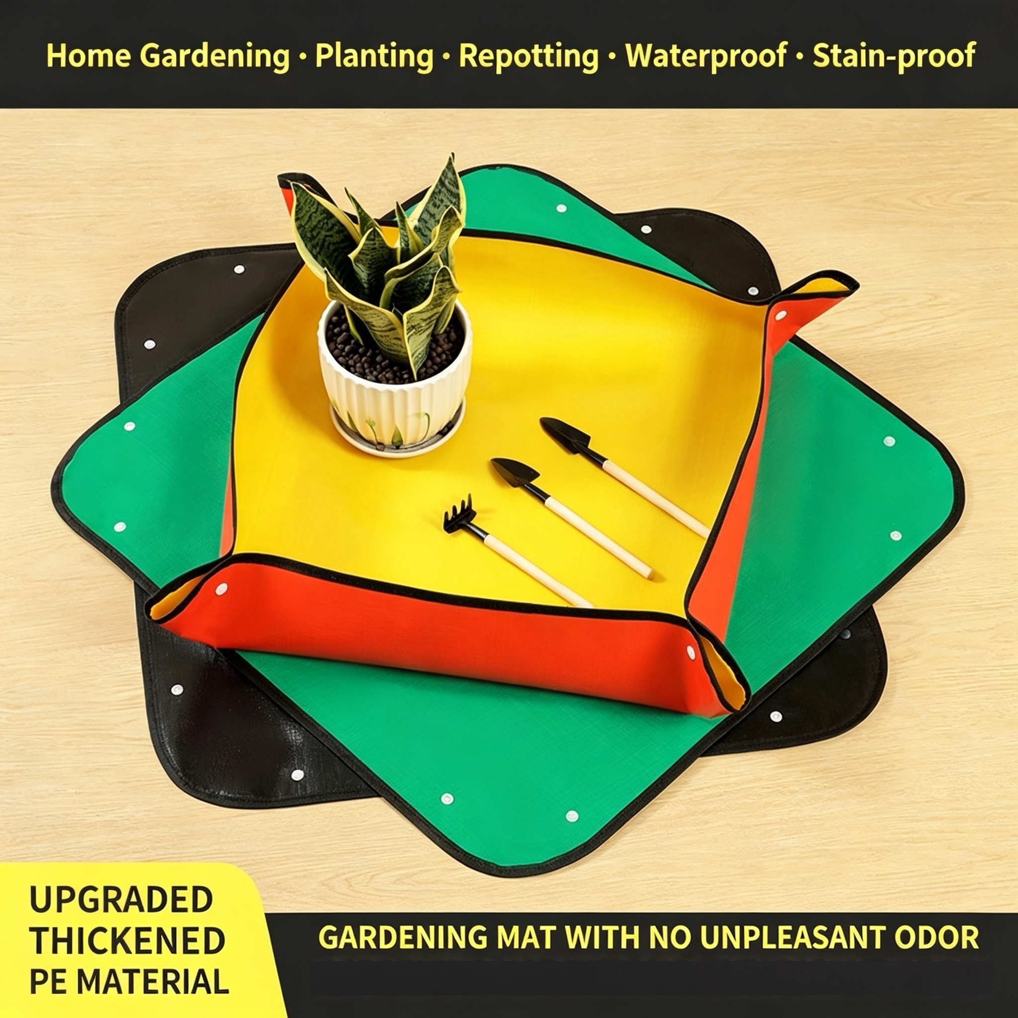 Plant Repotting Mat, Waterproo - Echeveria Succulent avis et prix