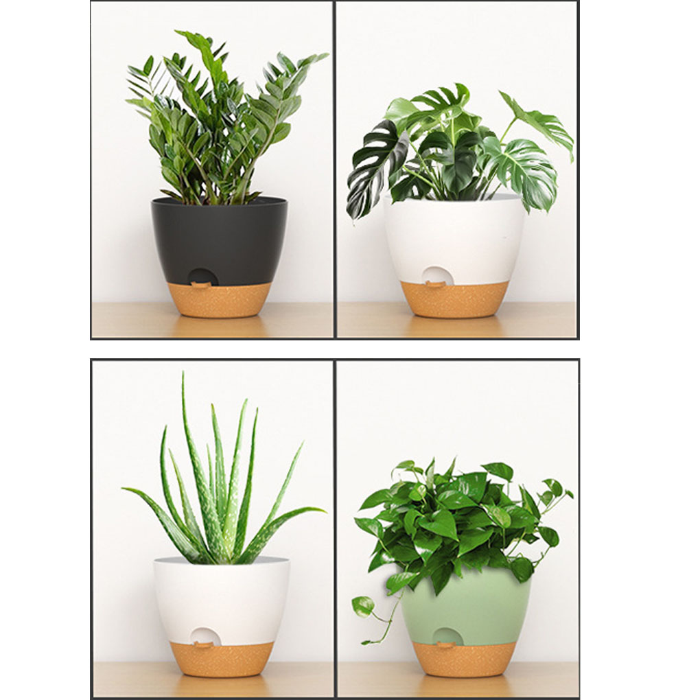 5piece Indoor Flower Pots With - Aloe Vera Pot avis et prix