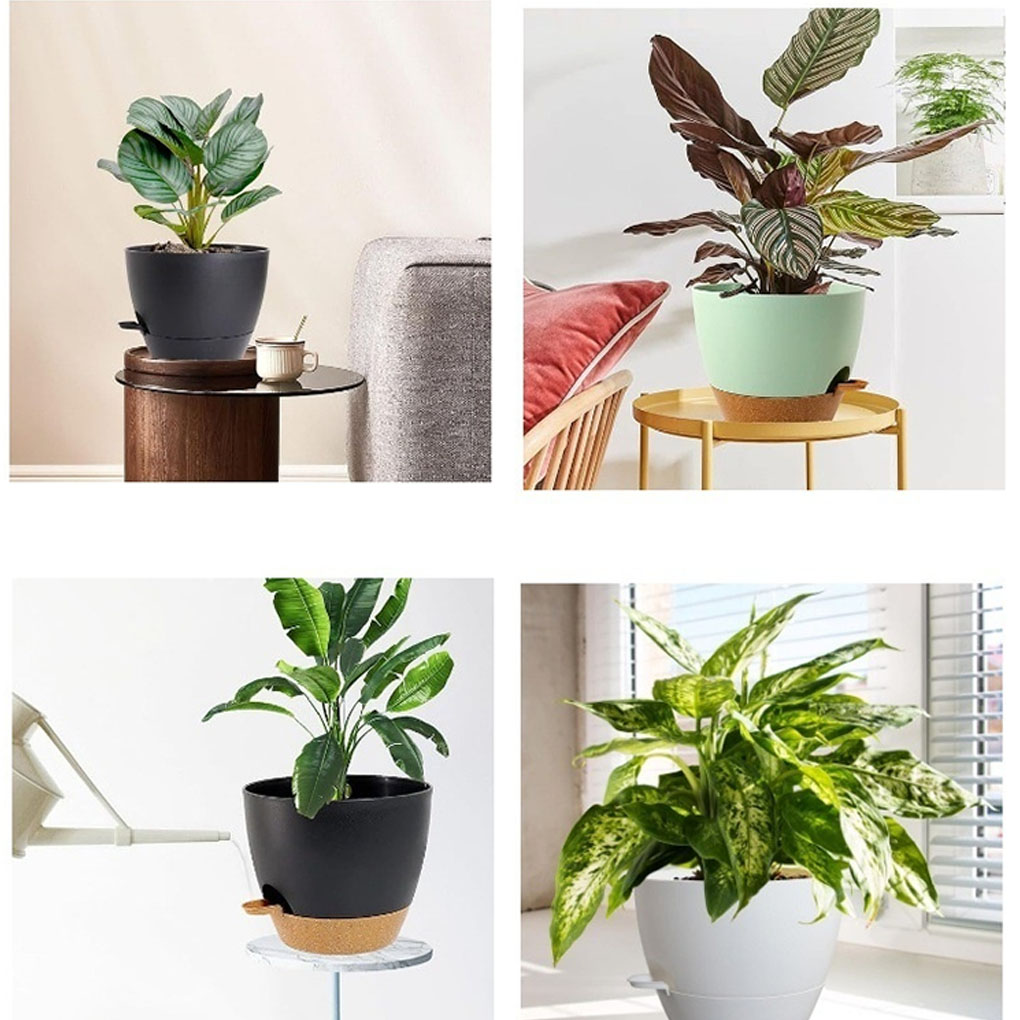 5piece Indoor Flower Pots With - Aloe Vera Pot avis et prix