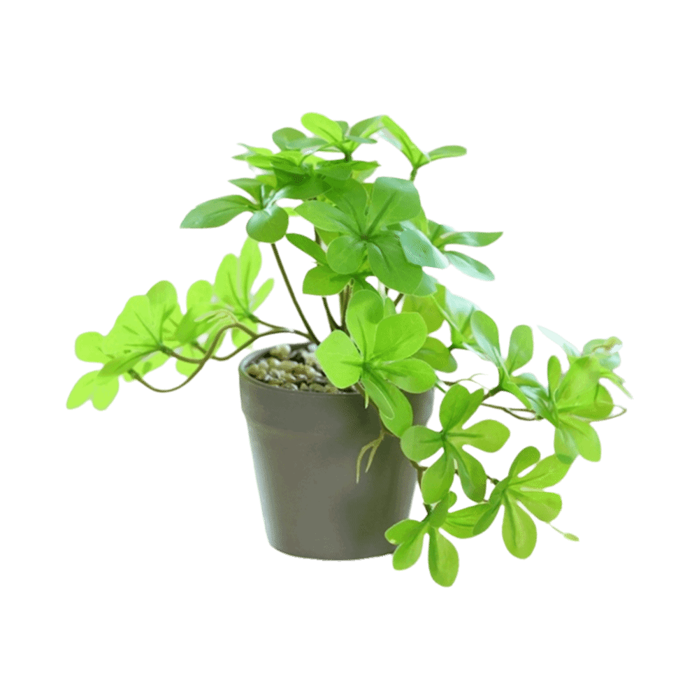 Bonsai Artificial Bonsai Plant - Spider Plant Hanging avis et prix