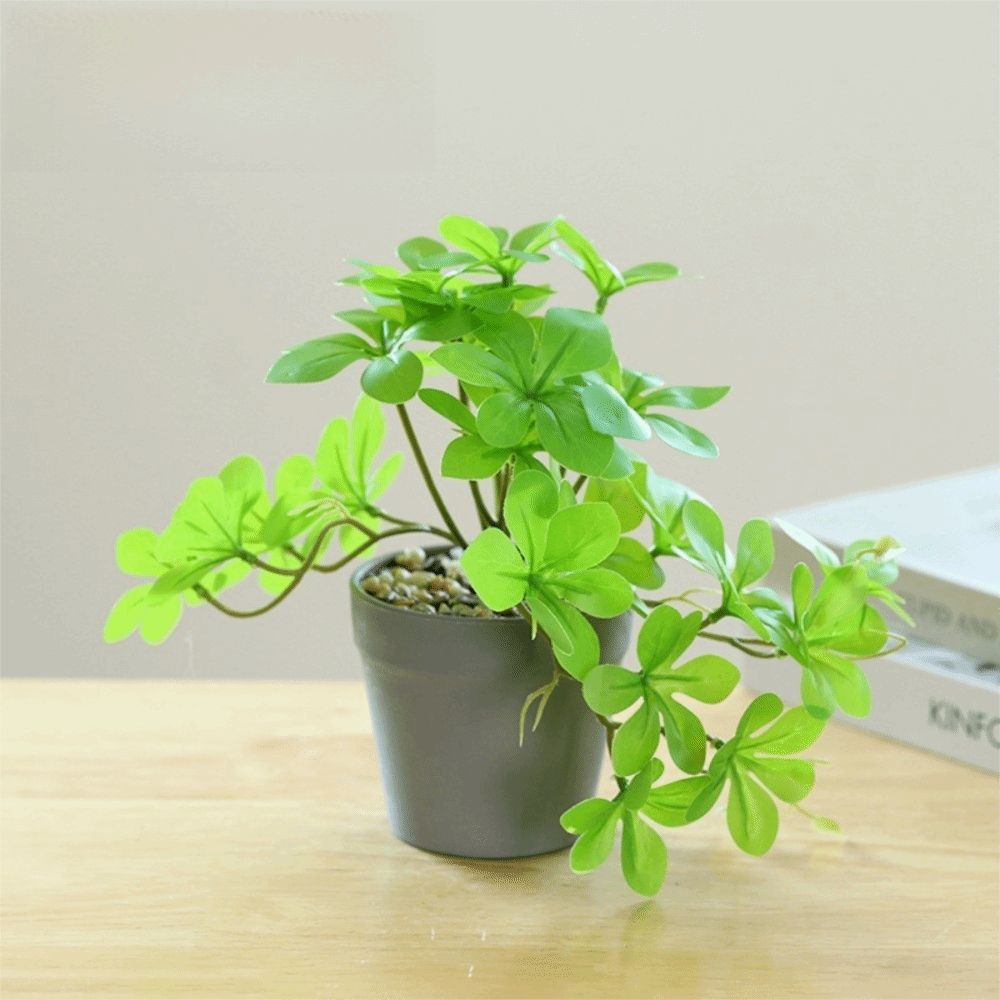 Bonsai Artificial Bonsai Plant - Spider Plant Hanging avis et prix