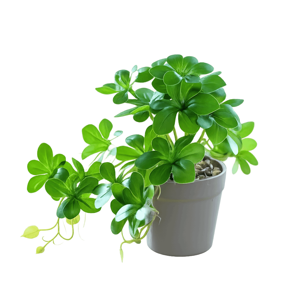 Bonsai Artificial Bonsai Plant - Spider Plant Hanging avis et prix