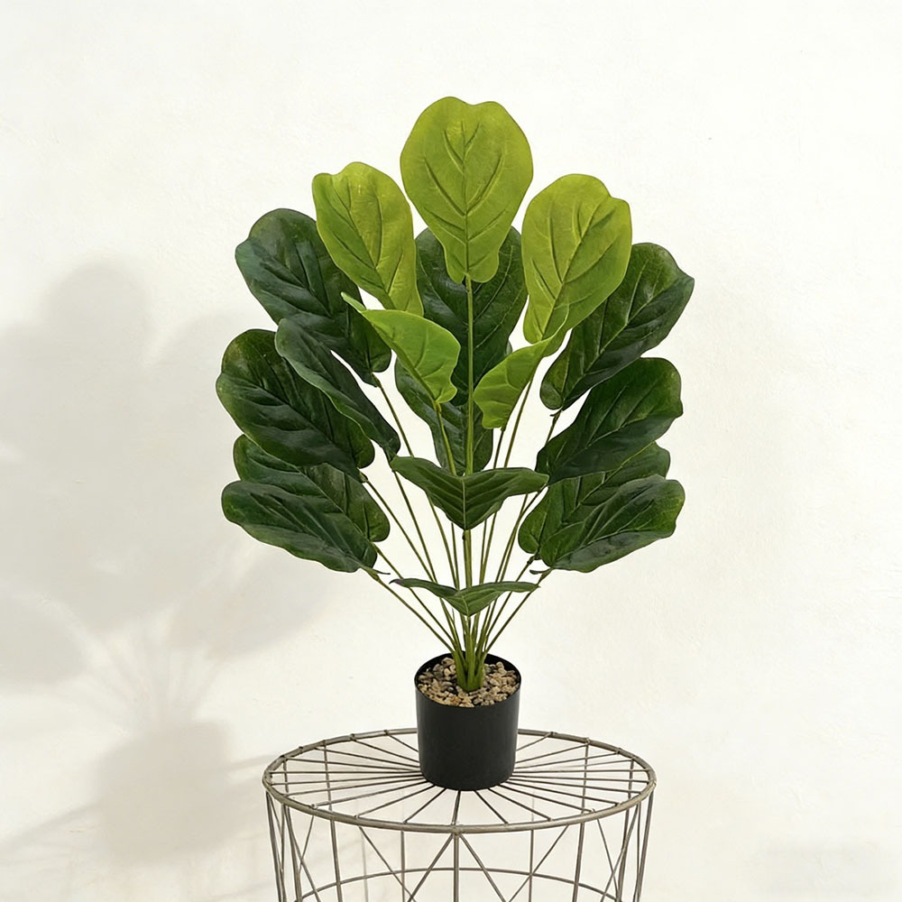 1pc of 75cm Artificial Ficus L - Ficus Lyrata Tree avis et prix