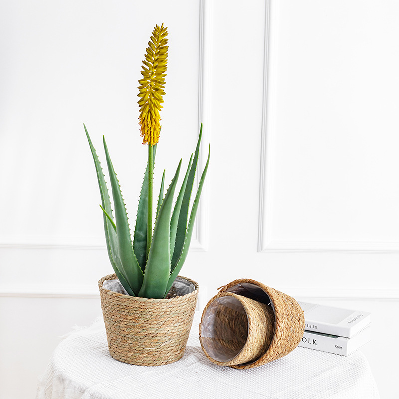 Natural Woven Flower Basket St - Aloe Vera Pot avis et prix
