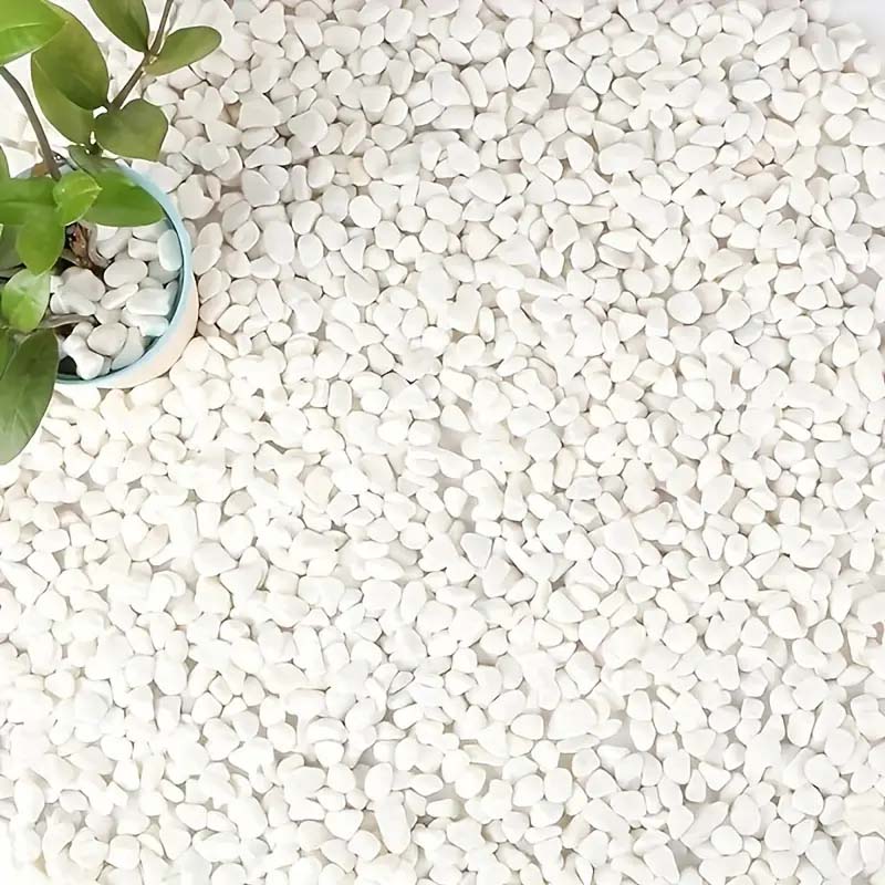 White Pebbles Decorative Stone - Echeveria Succulent avis et prix