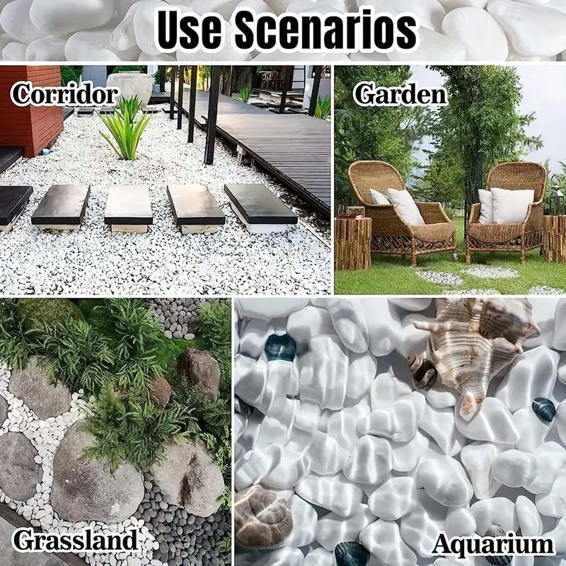 White Pebbles Decorative Stone - Echeveria Succulent avis et prix