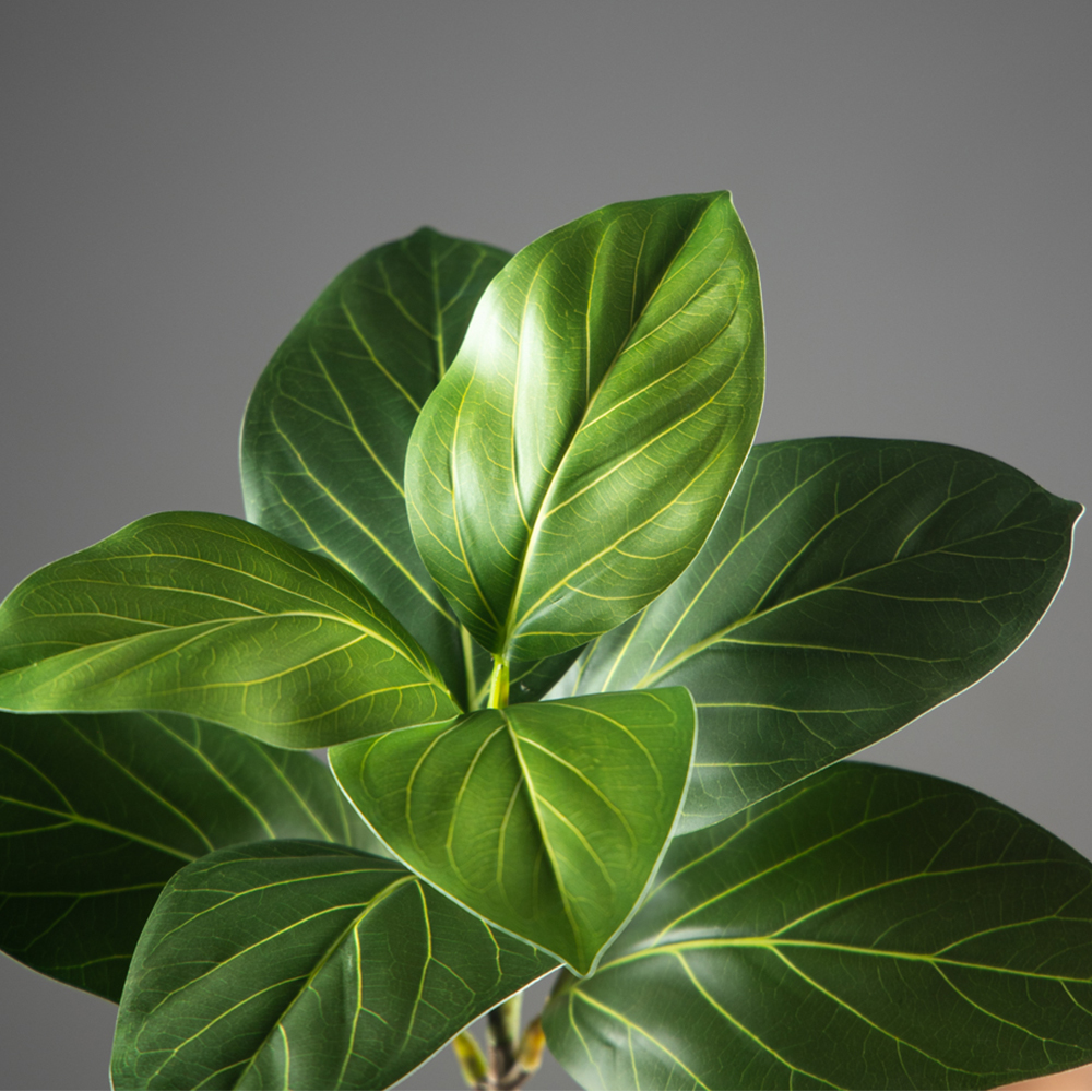 70-130cm Large Artificial Bany - Ficus Lyrata Tree avis et prix