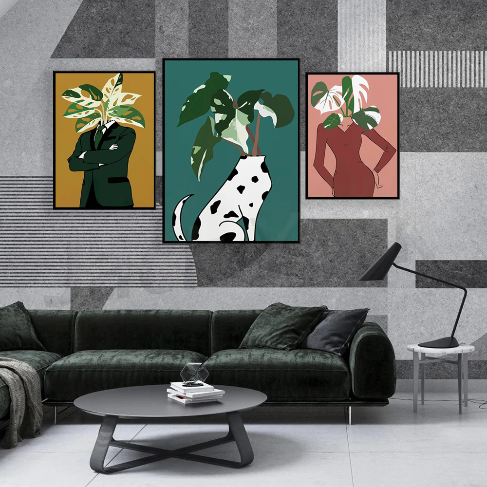 Monstera Albo in a burgundy dr - Monstera Adansonii avis et prix
