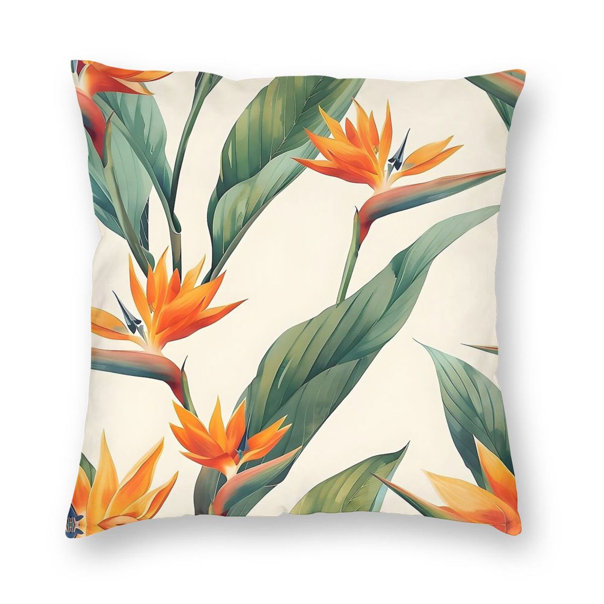 Bird Of Paradise Strelitzia Sq - Bird Paradise Strelitzia avis et prix