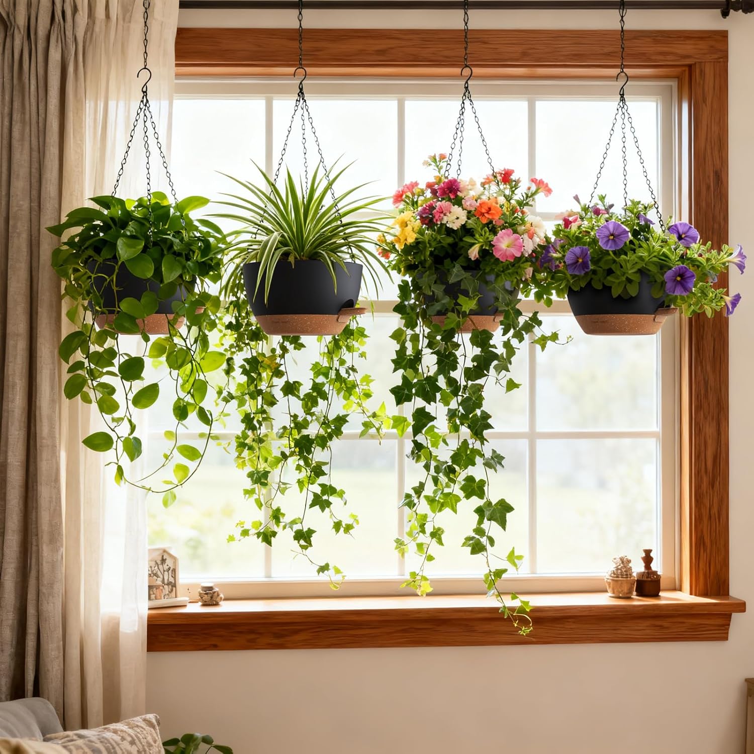 Self Watering Hanging Planters - Spider Plant Hanging avis et prix
