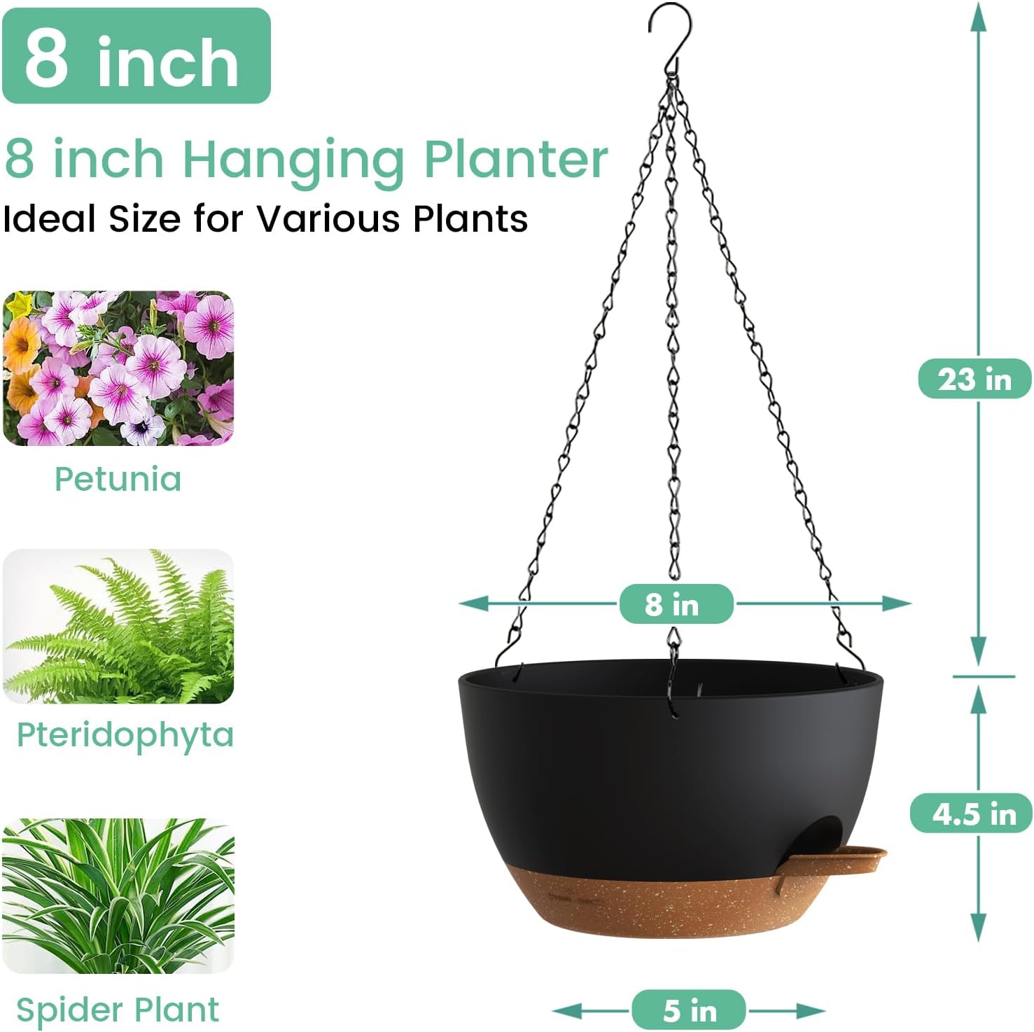 Self Watering Hanging Planters - Spider Plant Hanging avis et prix