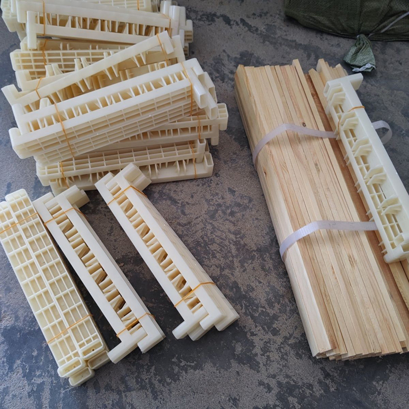 Bee Breeding Frames Plastic Ch - Begonia Rex avis et prix