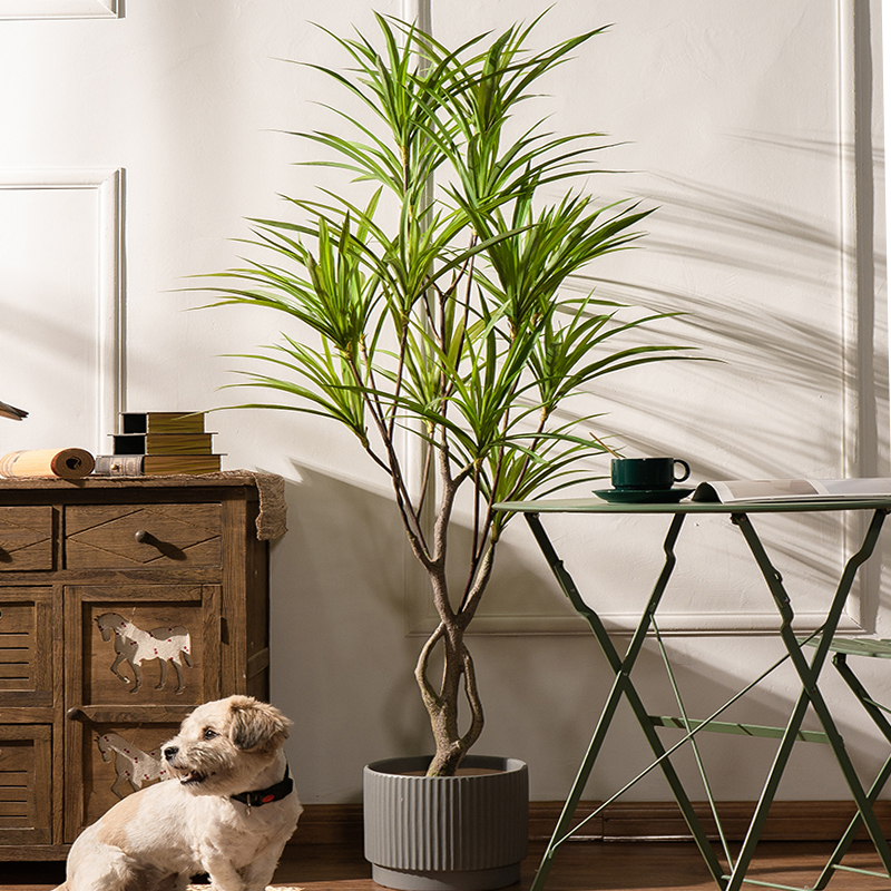 90-180cm Large Artificial Tree - Dracaena Marginata avis et prix
