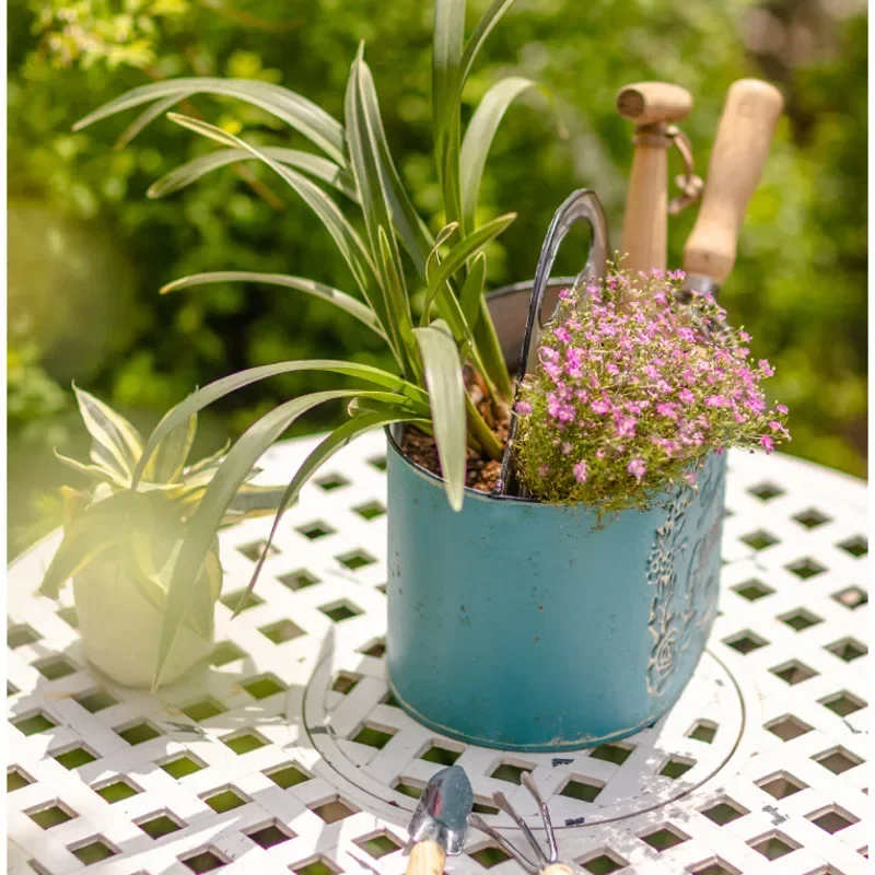 Blue Hanging Wall Planter Aged - Spider Plant Hanging avis et prix