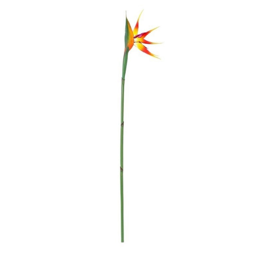 New Long Stem Artificial Bird  - Bird Paradise Strelitzia avis et prix